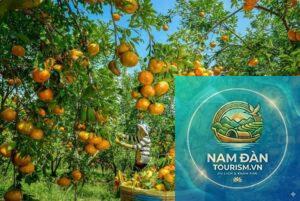miệt vườn cù lao an bình