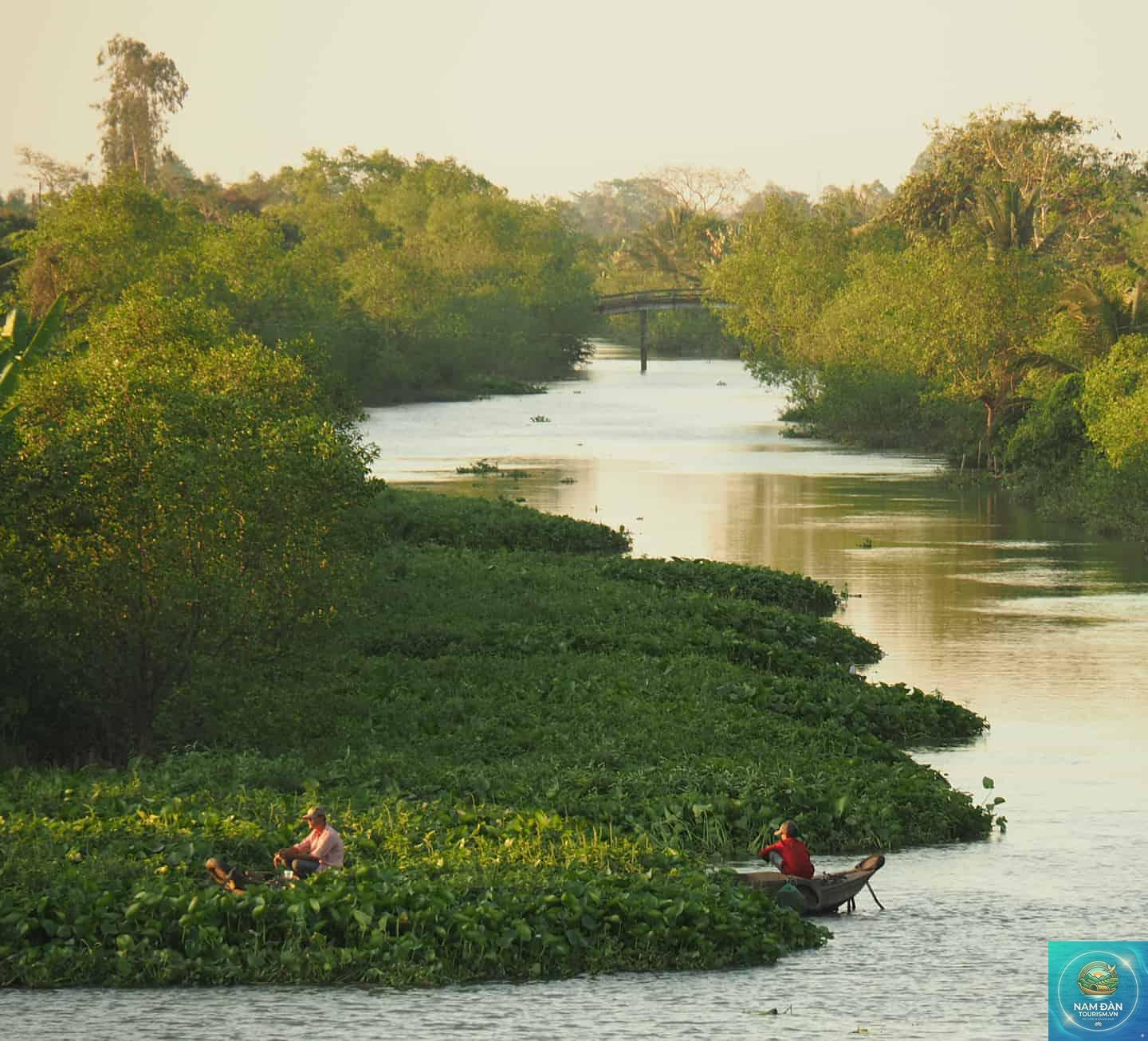 miệt vườn cù lao an bình - Hình 5