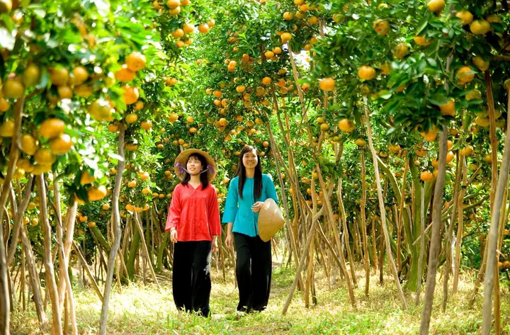 miệt vườn vĩnh long - Hình 5