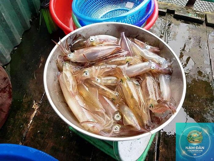 mực nhảy cửa lò nghệ an - Hình 3