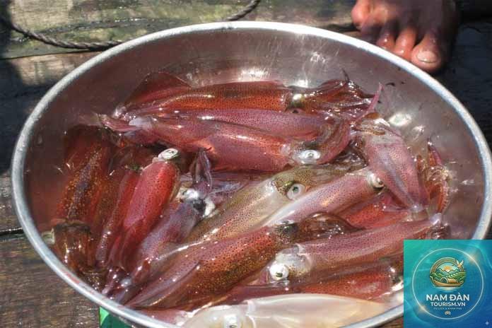 mực nhảy cửa lò nghệ an - Hình 5