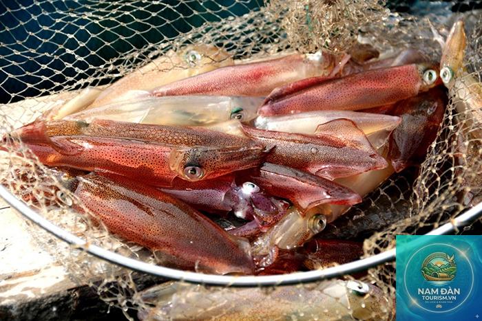 mực nhảy cửa lò nghệ an - Hình 1