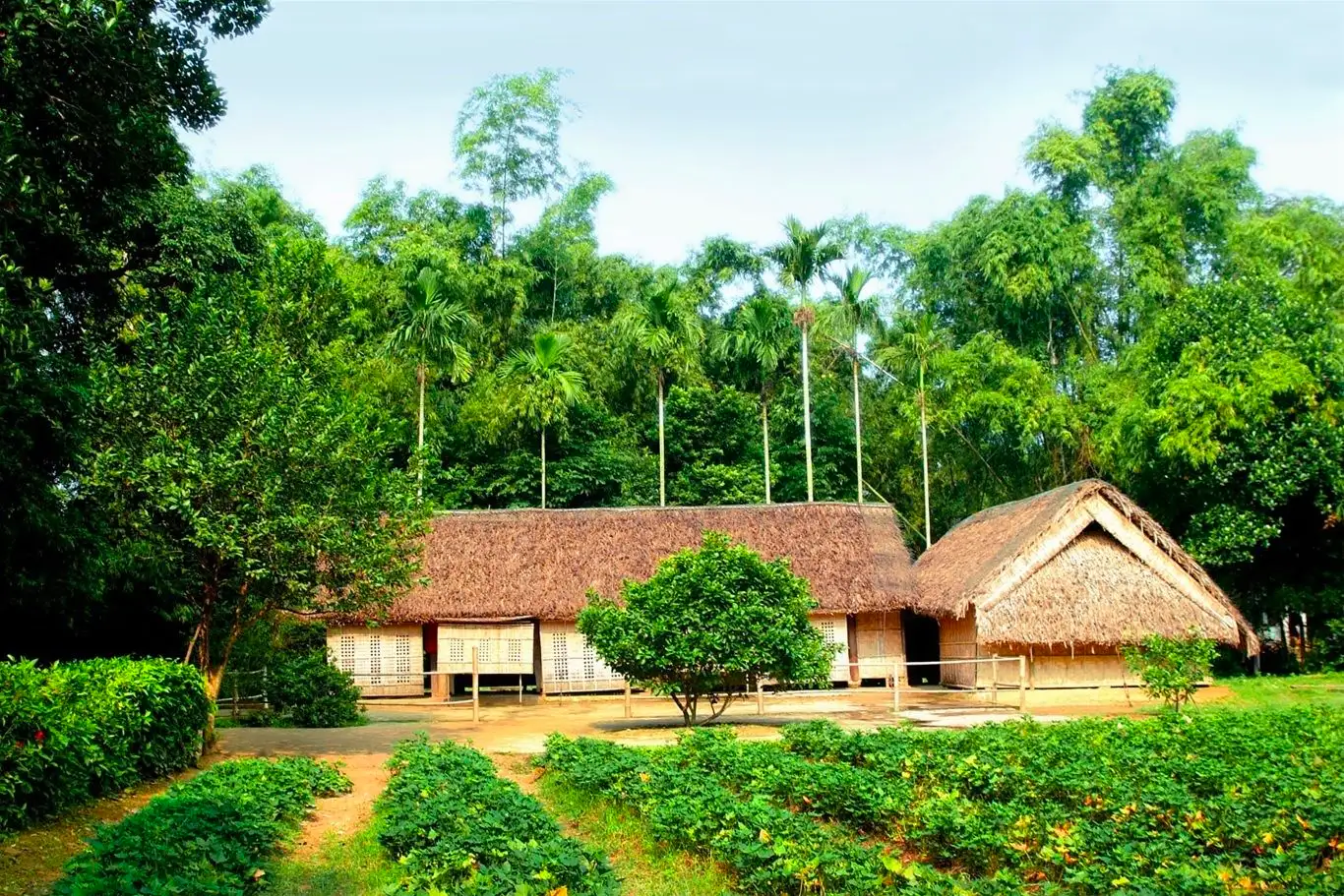 nên đi đâu khi đến nghệ an - Hình 3