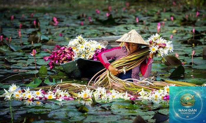 những điều cần biết khi du lịch long an - Hình 5