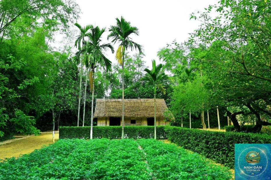 quê bác hồ nghệ an kim liên có gì - Hình 3