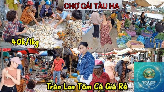 rạch cái tàu hạ - Hình 2