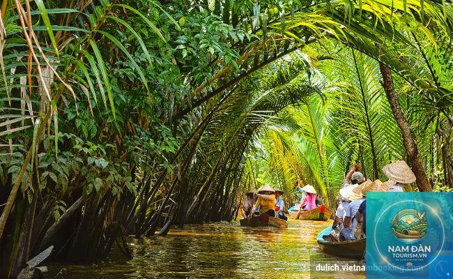 rừng dừa nước bến tre - Hình 2