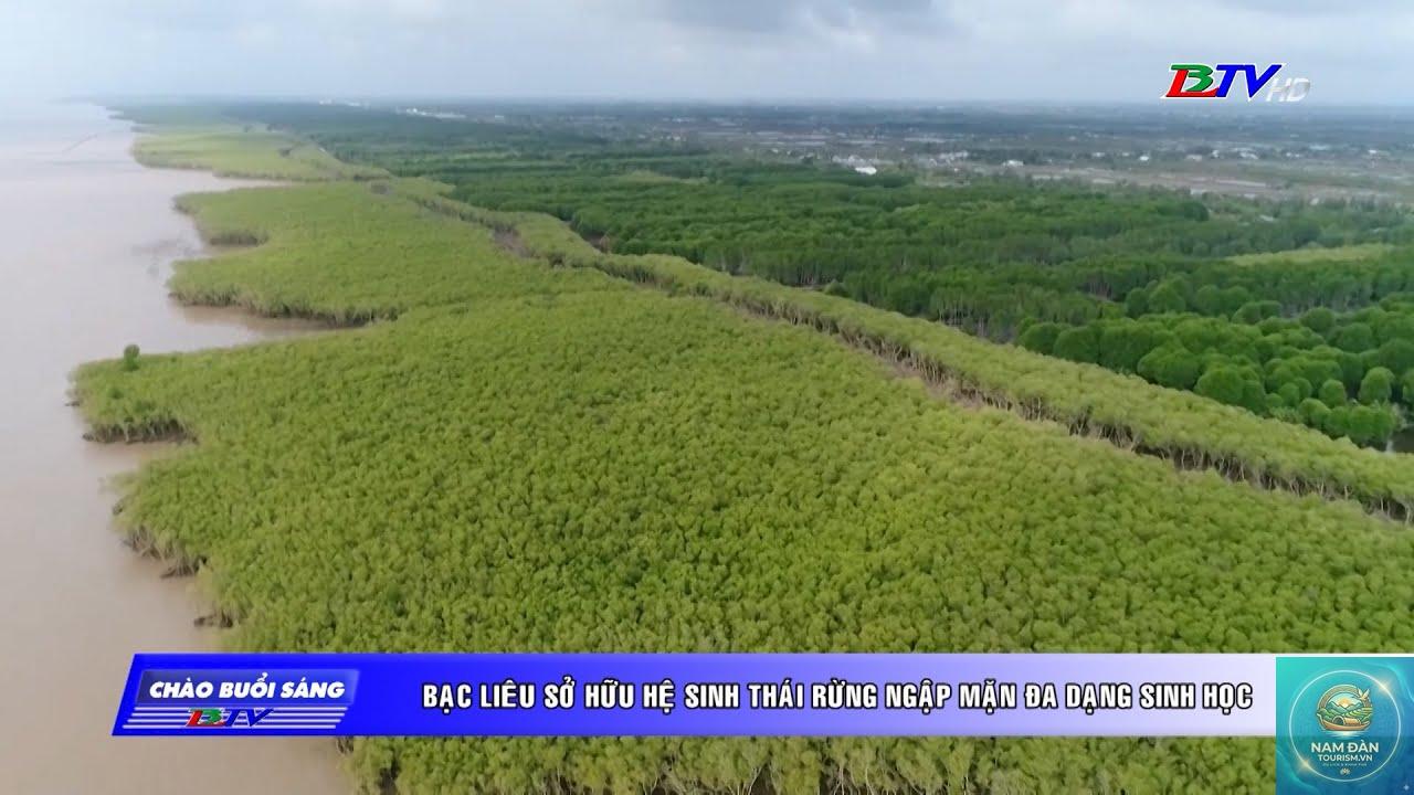 rừng ngập mặn bạc liêu - Hình 2