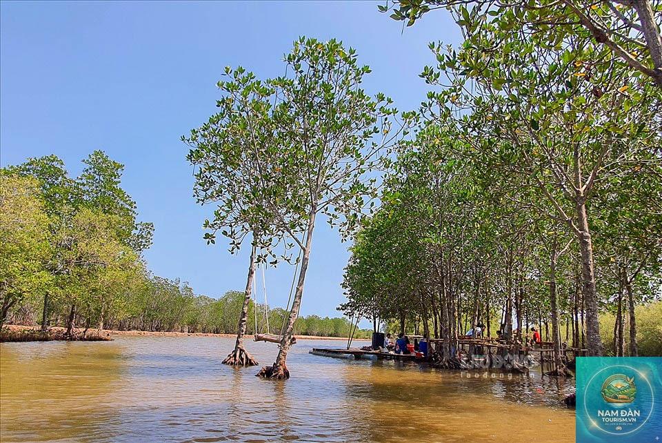 rừng ngập mặn bạc liêu - Hình 4