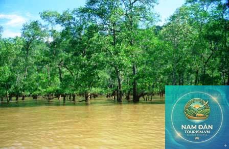 rừng ngập mặn bạc liêu