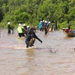 Khám Phá Rừng Ngập Mặn Bình Đại – Lá Phổi Xanh Của Vùng Đất Bến Tre rừng ngập mặn bình đại