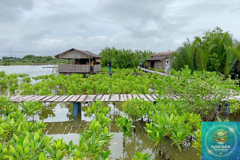 rừng ngập mặn bình đại - Hình 2