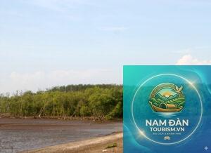 rừng ngập mặn gò công đông