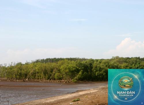 rừng ngập mặn gò công đông - Hình 1