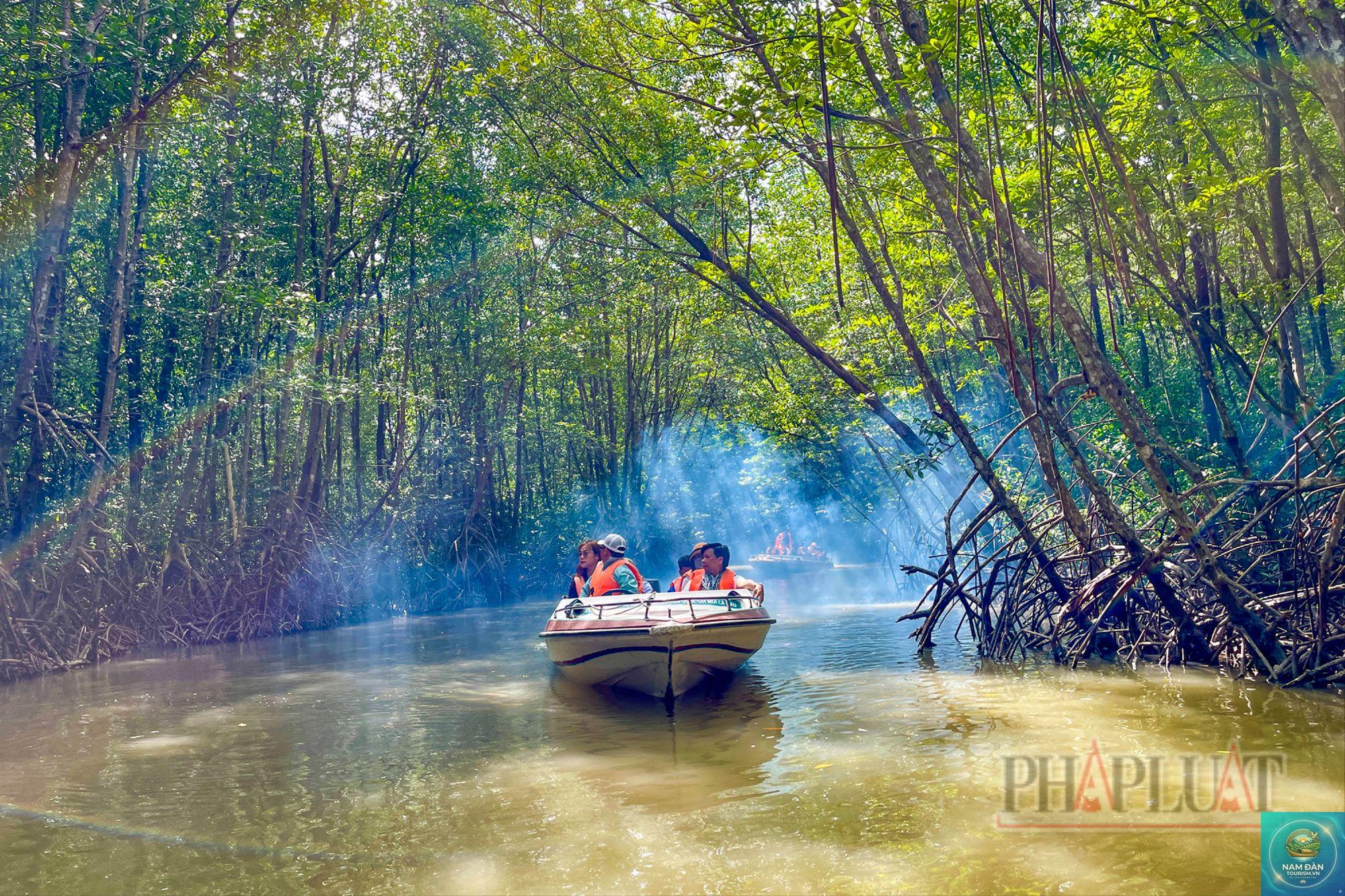 rừng ngập mặn mũi cà mau - Hình 4