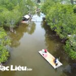 rừng phòng hộ ven biển bạc liêu