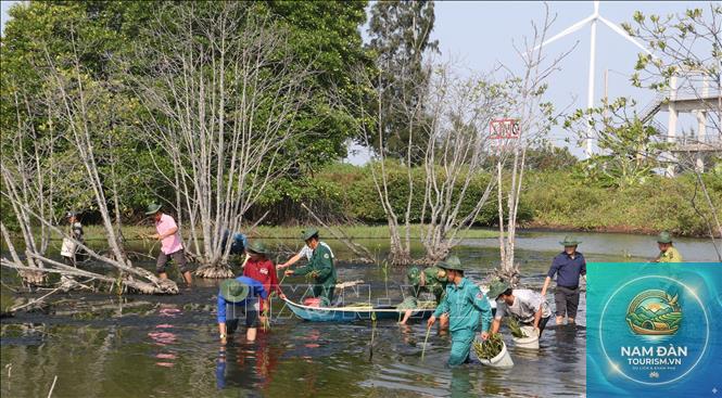rừng phòng hộ ven biển bạc liêu - Hình 3
