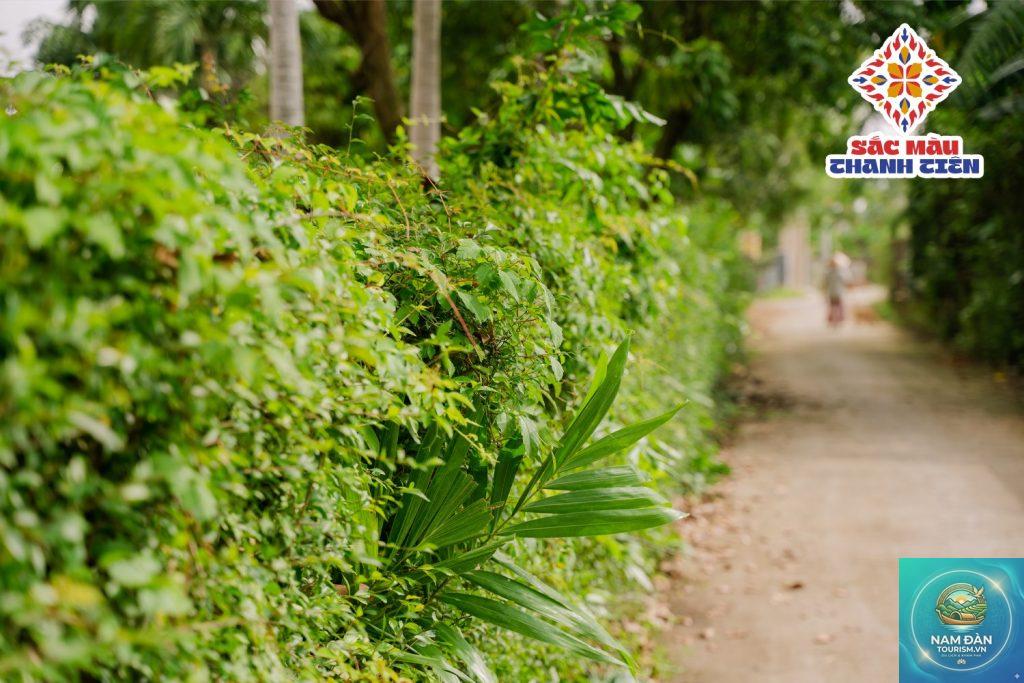 rừng sinh thái thanh bình - Hình 2
