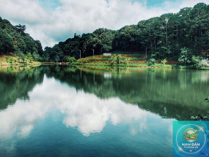 rừng sinh thái thanh bình - Hình 1