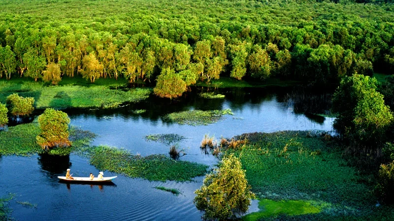 rừng tràm đồng tháp mười long an - Hình 2