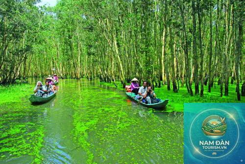 rừng tràm gáo giồng - Hình 3