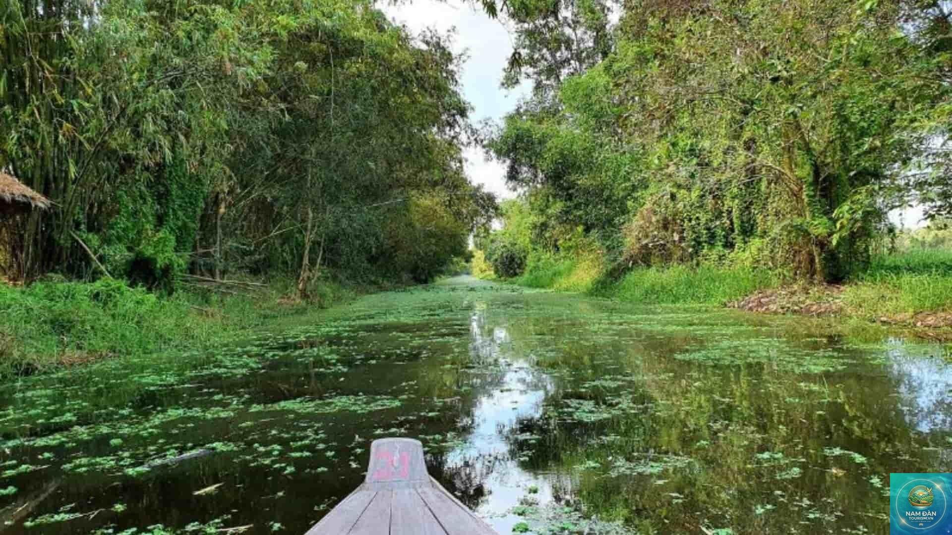 rừng tràm gáo giồng - Hình 4