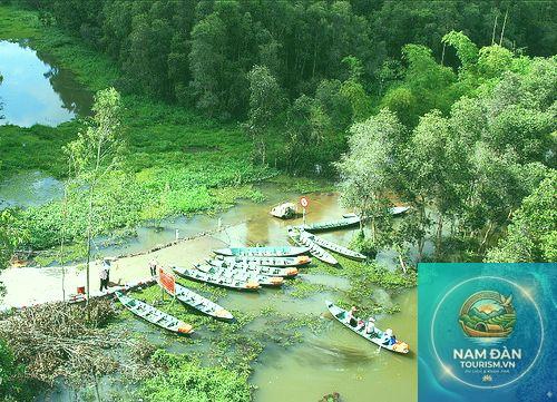rừng tràm gáo giồng - Hình 5