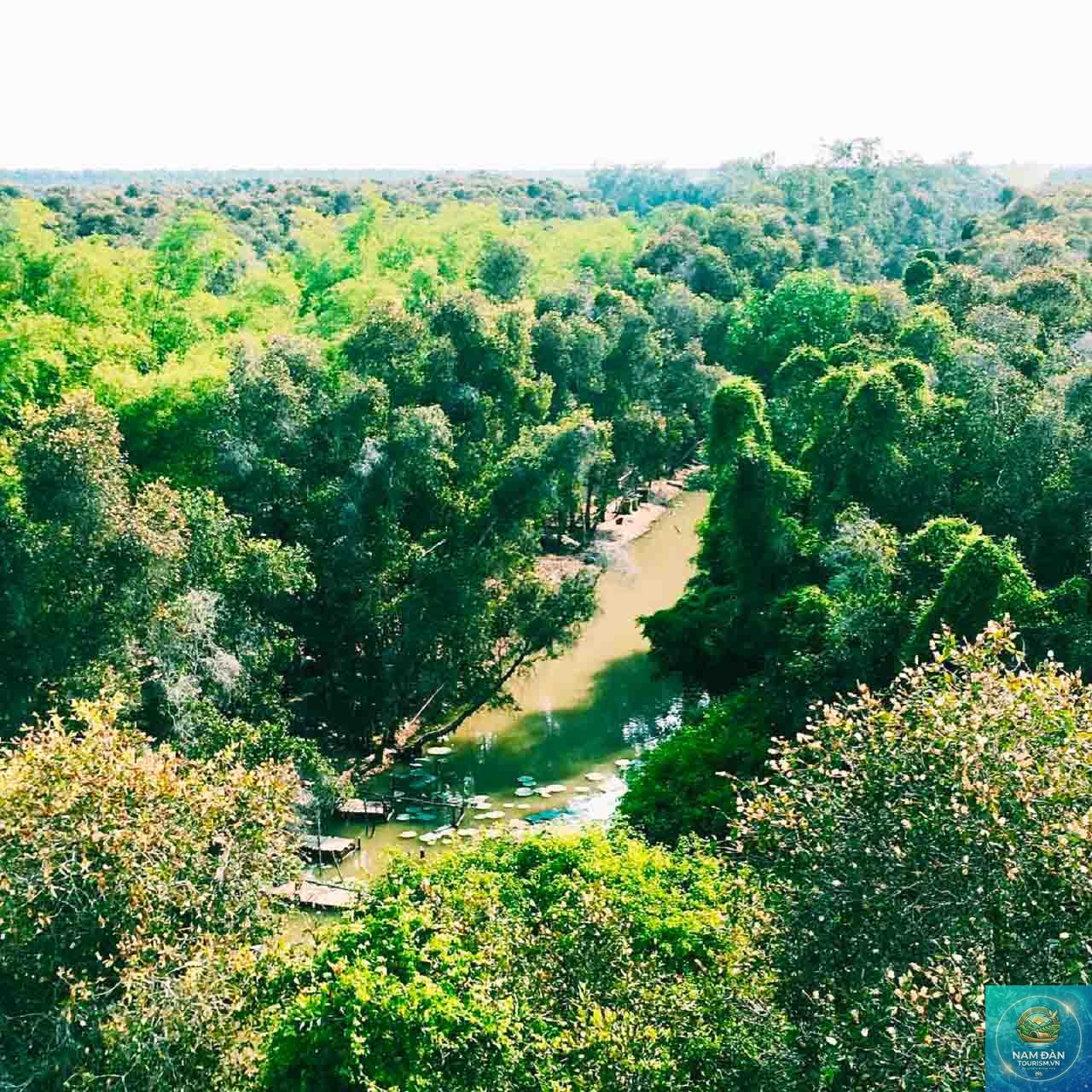 rừng tràm gáo giồng - Hình 1