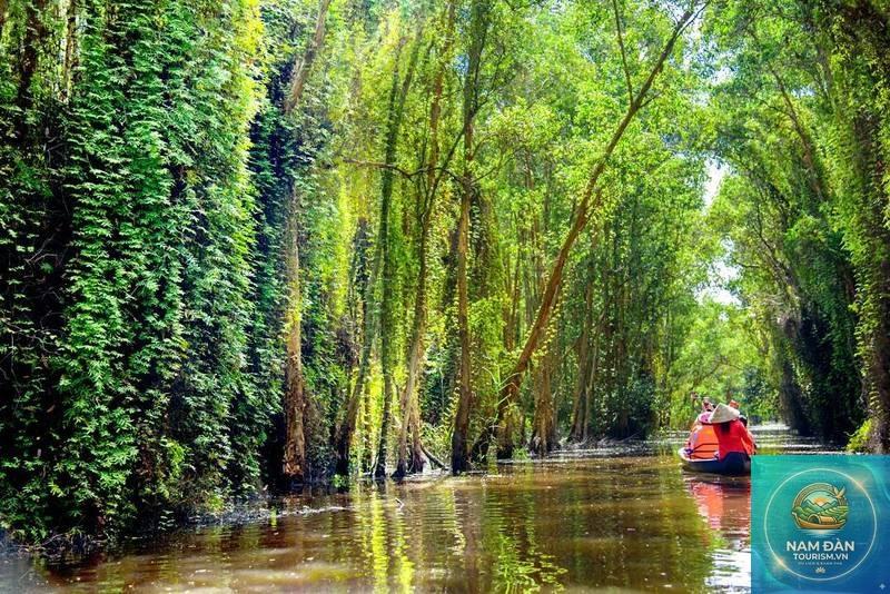 rừng tràm tân lập - Hình 2