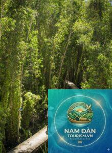 rừng tràm tân lập