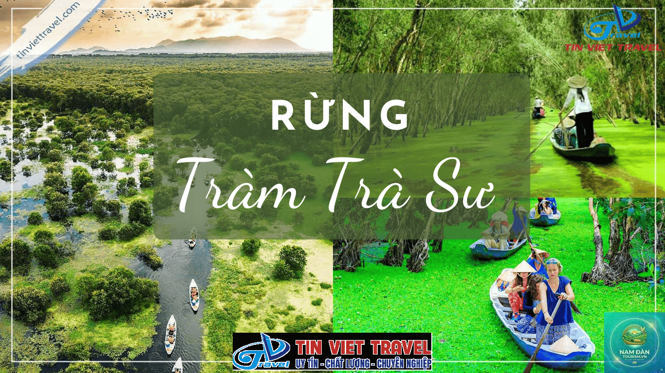 rừng tràm trà sư - Hình 2