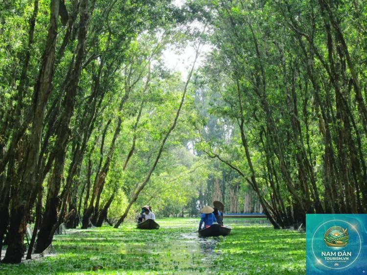 rừng tràm trà sư - Hình 3
