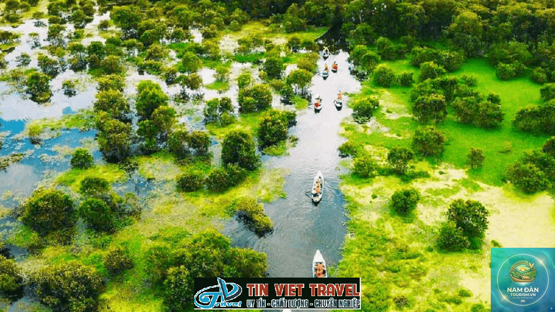 rừng tràm trà sư - Hình 5