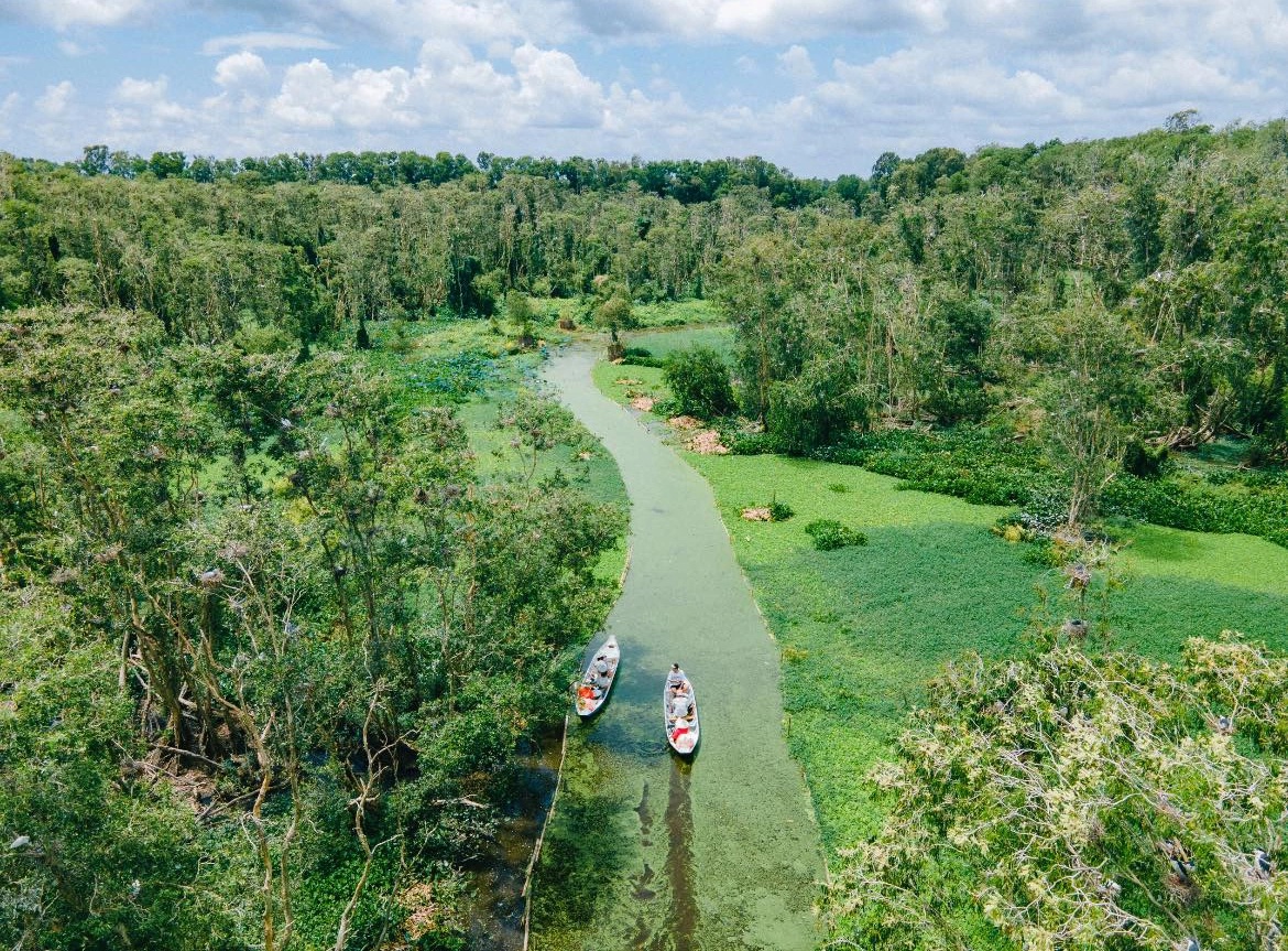 rừng tràm trà sư - Hình 1