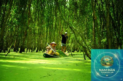 rừng tràm tràm chim - Hình 5