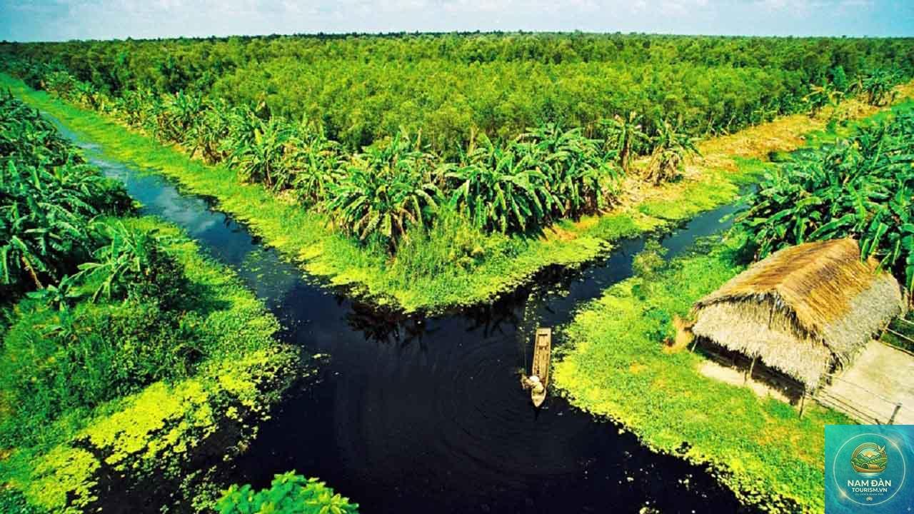 rừng tràm u minh thượng - Hình 3