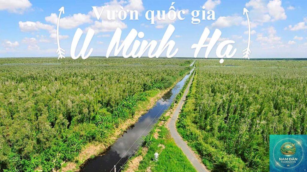 rừng u minh hạ