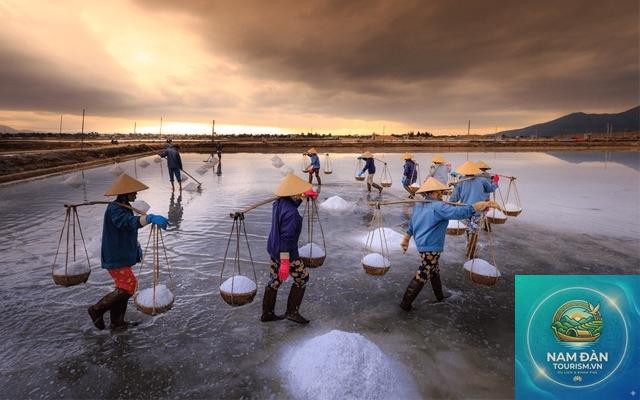 ruộng muối bạc liêu - Hình 5