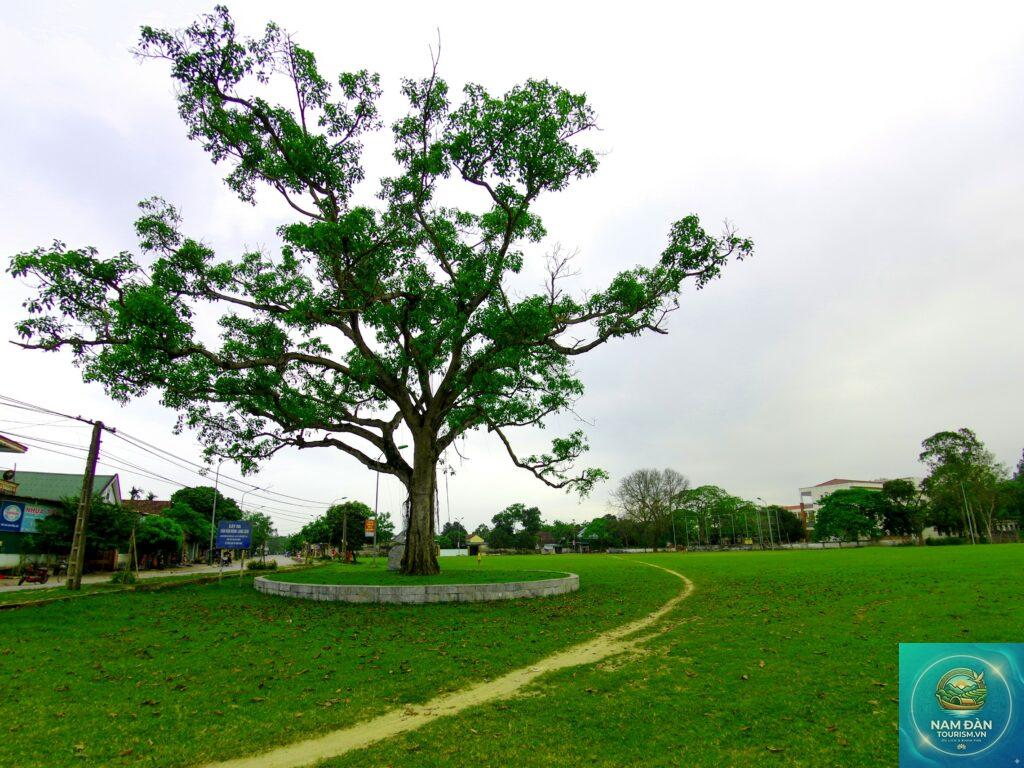 sân vận động làng sen
