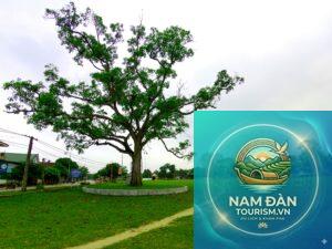sân vận động làng sen