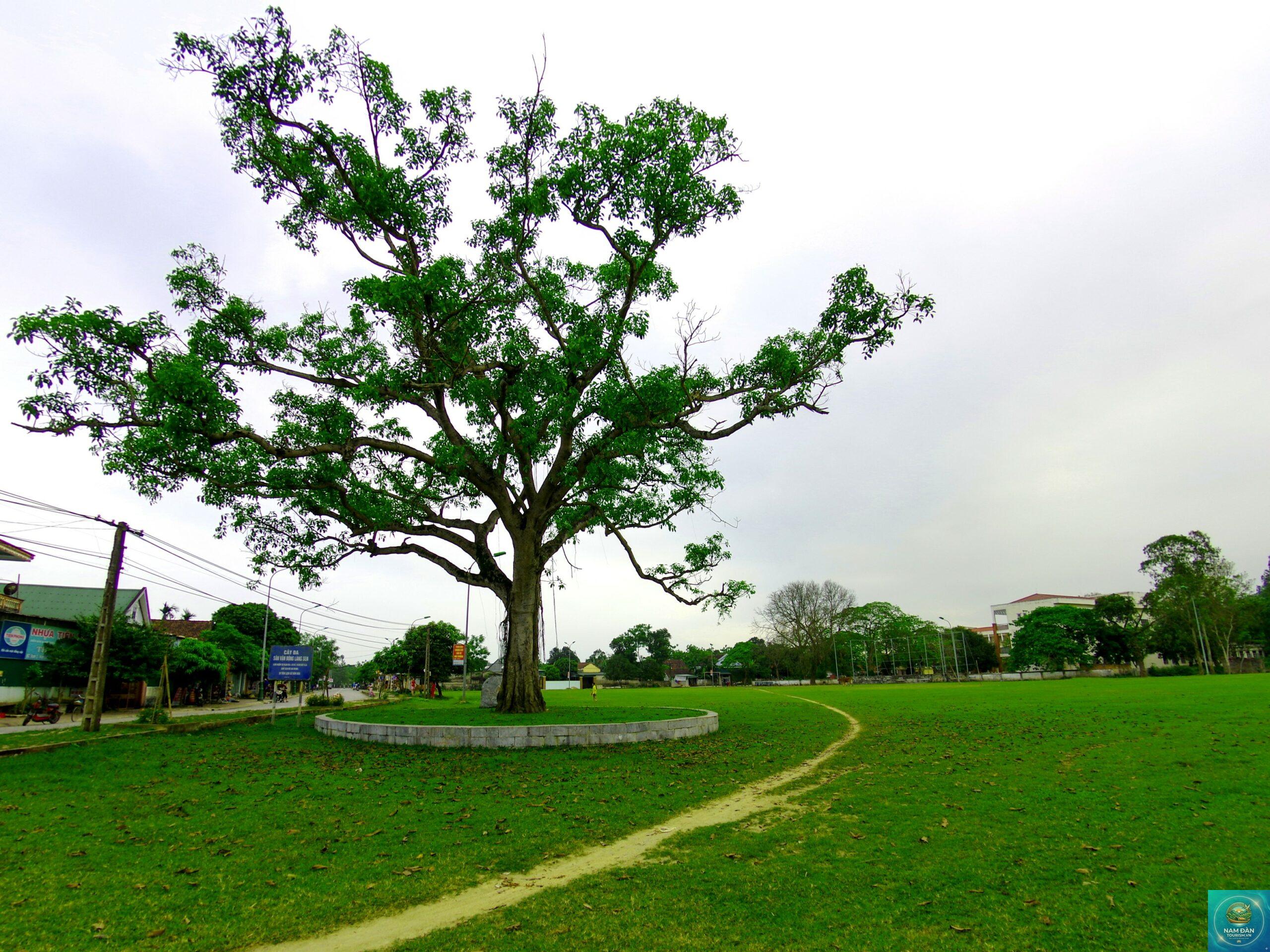 sân vận động làng sen - Hình 1