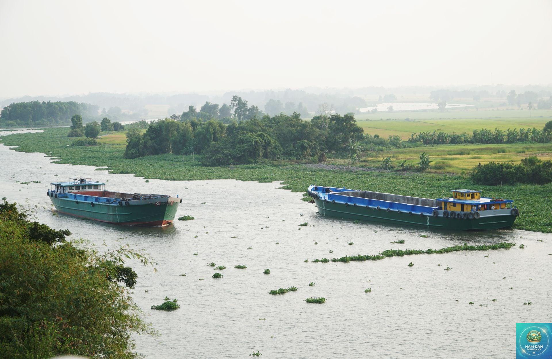 sông vàm cỏ đông - Hình 5
