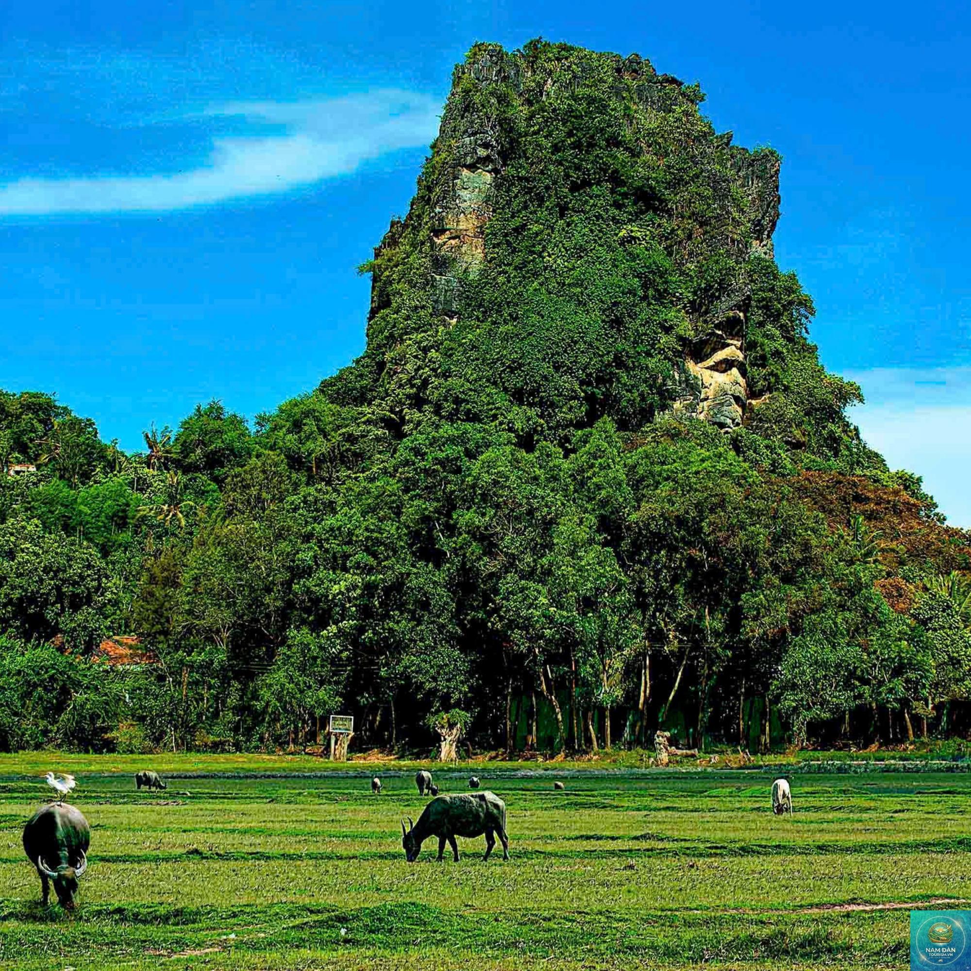 thạch động - Hình 1