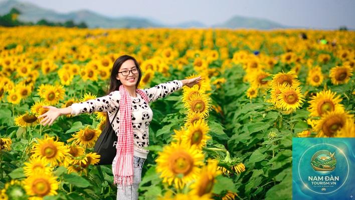 thời tiết du lịch nghệ an tháng 1 - Hình 3
