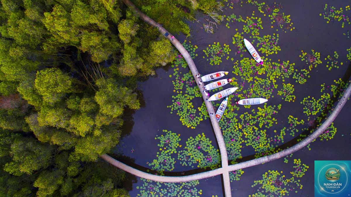 tour long an trong ngày - Hình 2