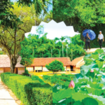 Tour Quê Bác Hồ 1 Ngày – Trọn Vẹn Hành Trình Về Nguồn Cội Nghệ An tour quê bác hồ 1 ngày