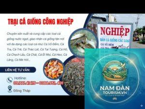 trại cá giống đồng tháp