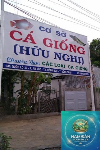 trại cá giống hồng ngự - Hình 2