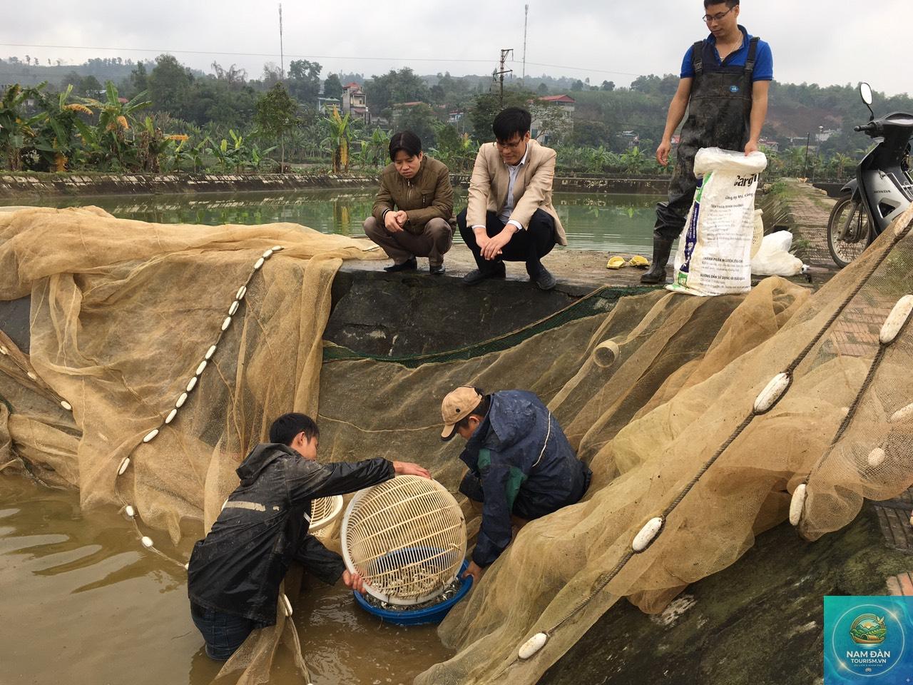 trại giống thủy sản tam nông - Hình 2