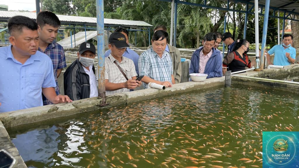 trại giống thủy sản tam nông - Hình 3